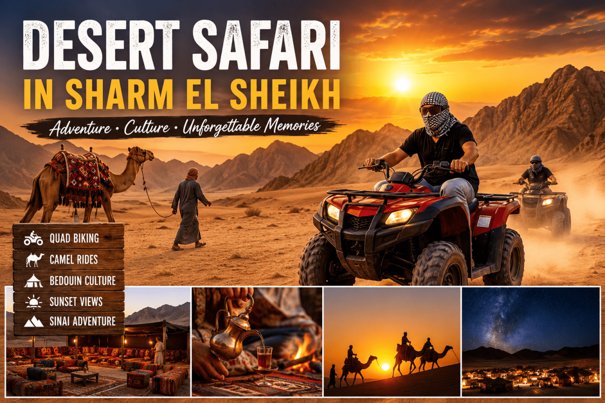 Desert Safari in Sharm El Sheikh: Complete 2026 Guide