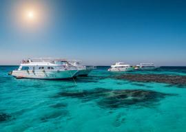 Морские экскурсии по Красному морю