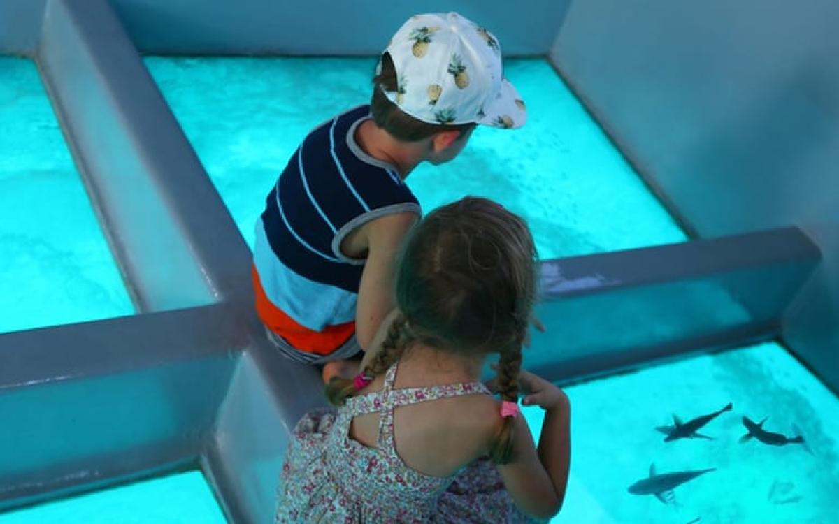 Прогулка на стеклянной лодке в Шарм-эль-Шейхе