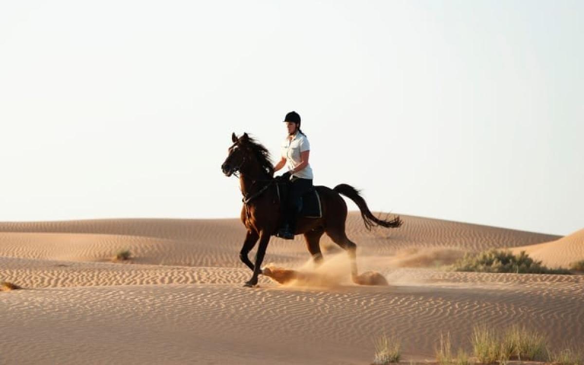 Сафари на лошадях в Шарм-эль-Шейхе