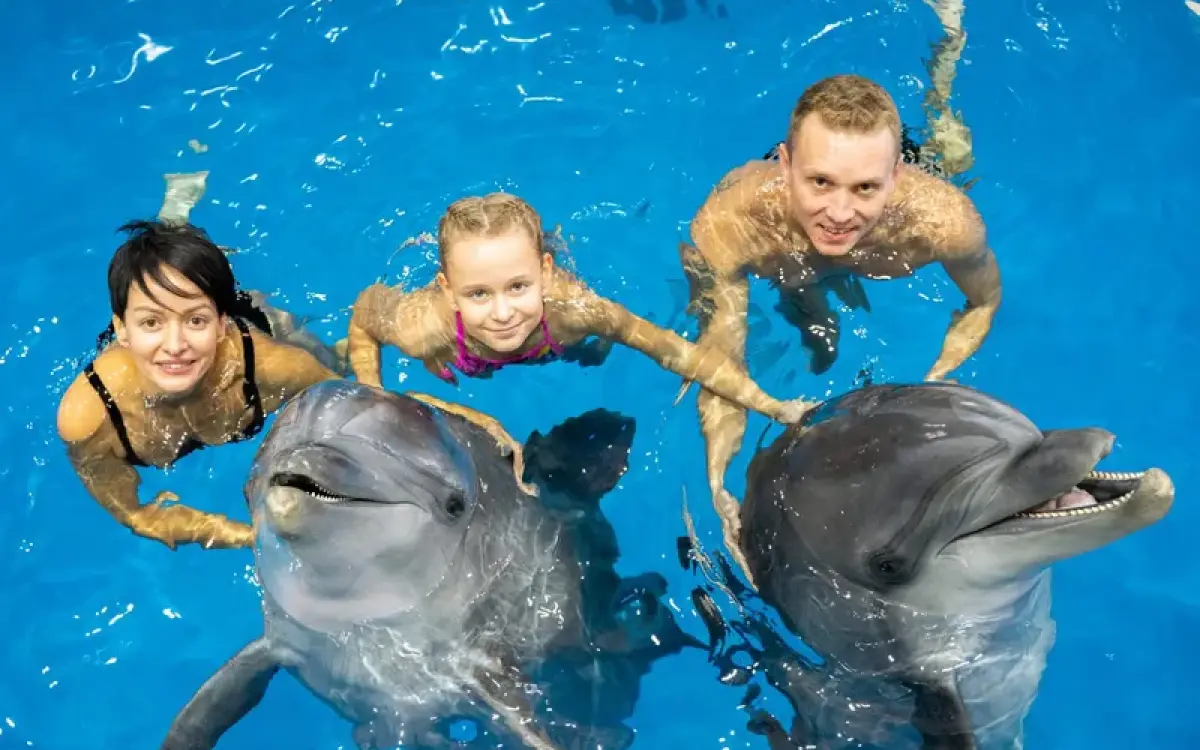 Плавание с дельфинами в Шарм-эль-Шейхе — 15 минут