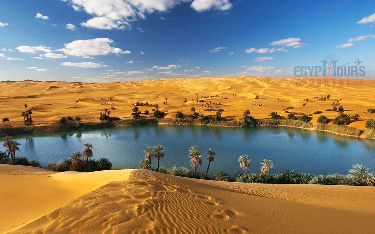 2-дневное сафари в Белую пустыню и оазис Бахария из Каира