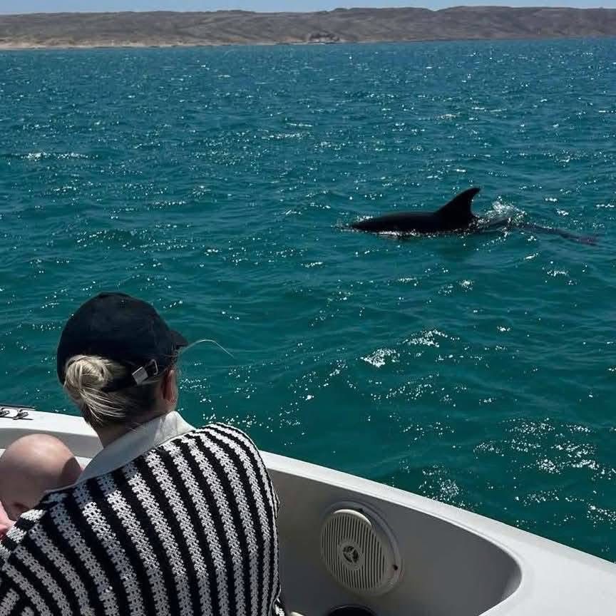 2Частная прогулка на скоростной лодке по Красному морю