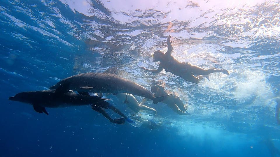2Национальный парк Рас-Мохаммед и Белый остров на лодке