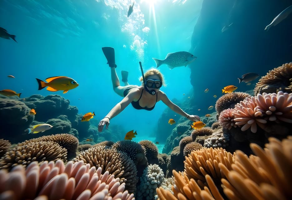 13Сафари в Цветном каньоне и сноркелинг в Блу-Хол из Шарм-эль-Шейха