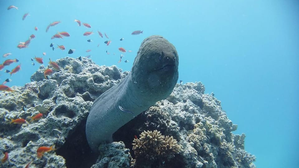 13Национальный парк Рас-Мохаммед и Белый остров на лодке