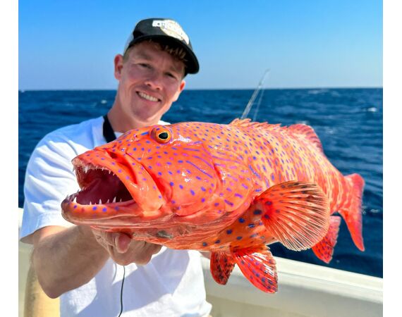 3Частная рыбалка в Шарм-эль-Шейхе – рыболовный опыт в Красном море