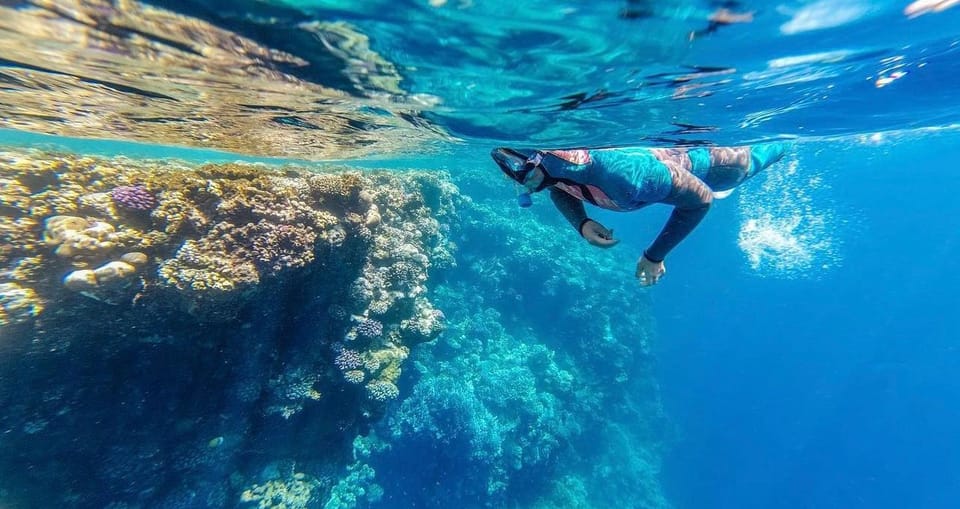 3Национальный парк Рас-Мохаммед на автобусе — полдня со сноркелингом