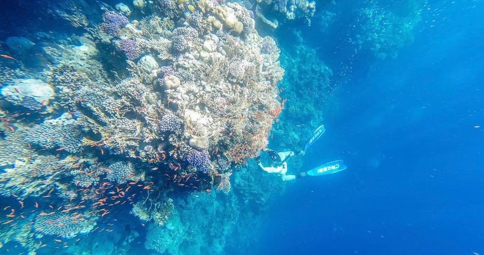 6Национальный парк Рас-Мохаммед на автобусе — полдня со сноркелингом